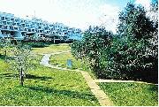  Click on picture to enlarge 