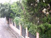 Window View