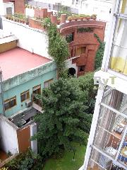 Window View